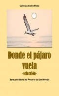 Donde el pájaro vuela